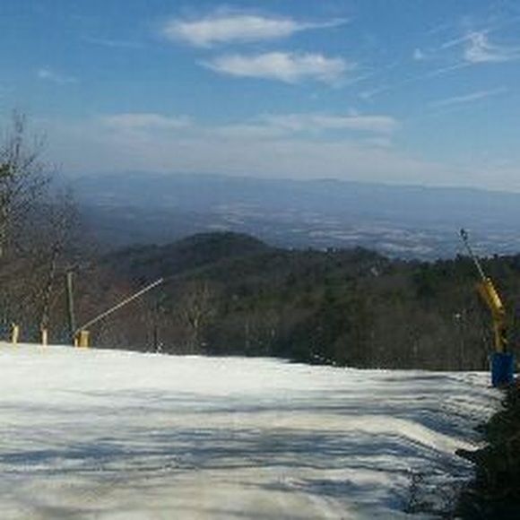 Meet your Posher, Paul - Picture 1 of 1